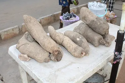 Yam tubers stacked on a market table